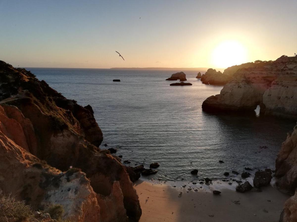 Nelo'S Cousy Place Daire Portimão Dış mekan fotoğraf